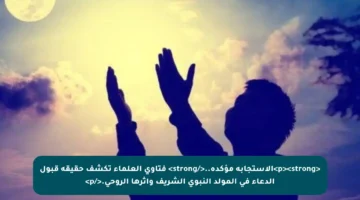 <p><strong>الاستجابة مؤكدة..</strong> فتاوى العلماء تكشف حقيقة قبول الدعاء في المولد النبوي الشريف وأثرها الروحي.</p>